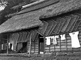 
Le Japon de 1937 à 1939 vu par André Leroi-Gourhan, la vie agricole. Des cadres de vers à soie s...